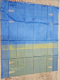 Chinnalampattu Saree - Pastel Green with Blue