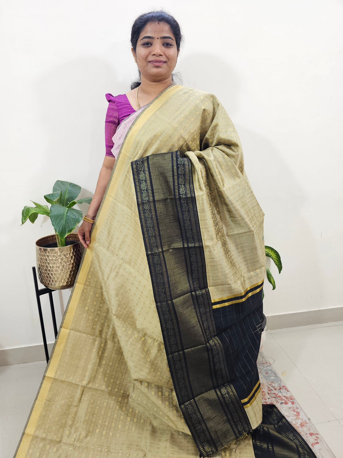 Raw Silk Saree - Beige with Black