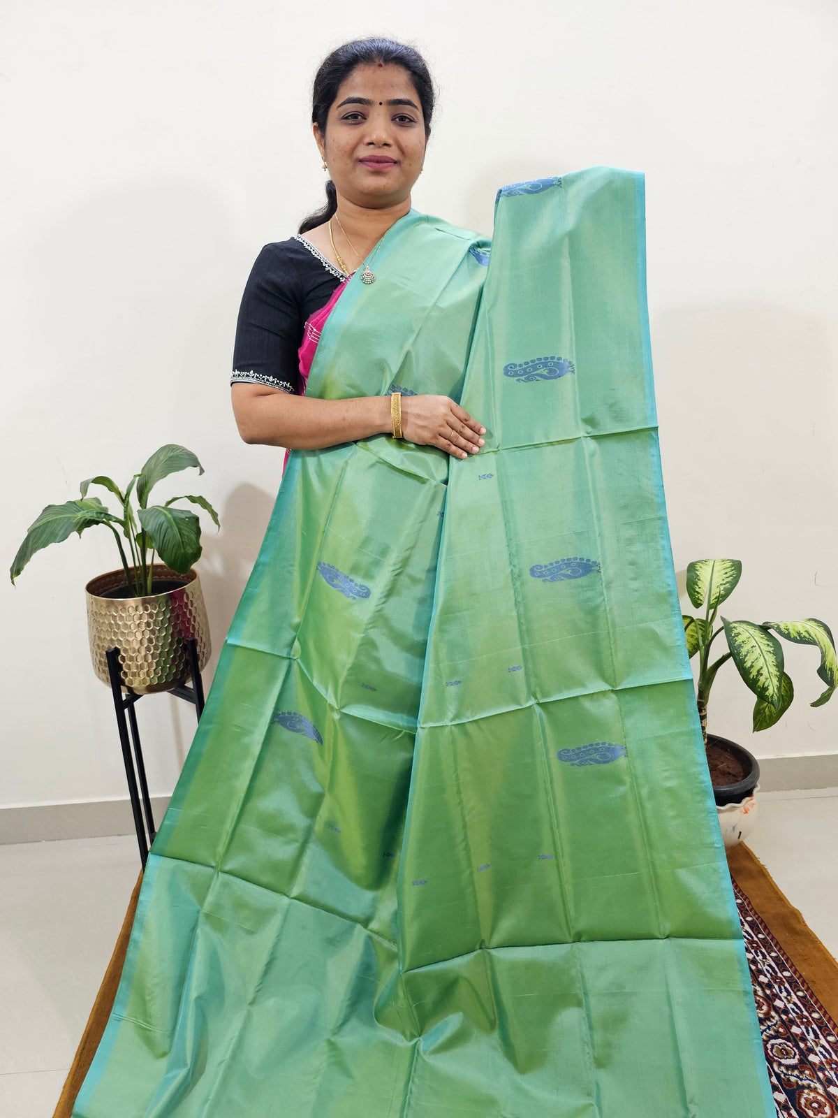 Chinnalampattu Saree with Blouse - Pastel Green with Blue