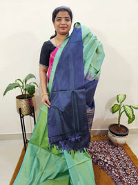 Chinnalampattu Saree with Blouse - Pastel Green with Blue