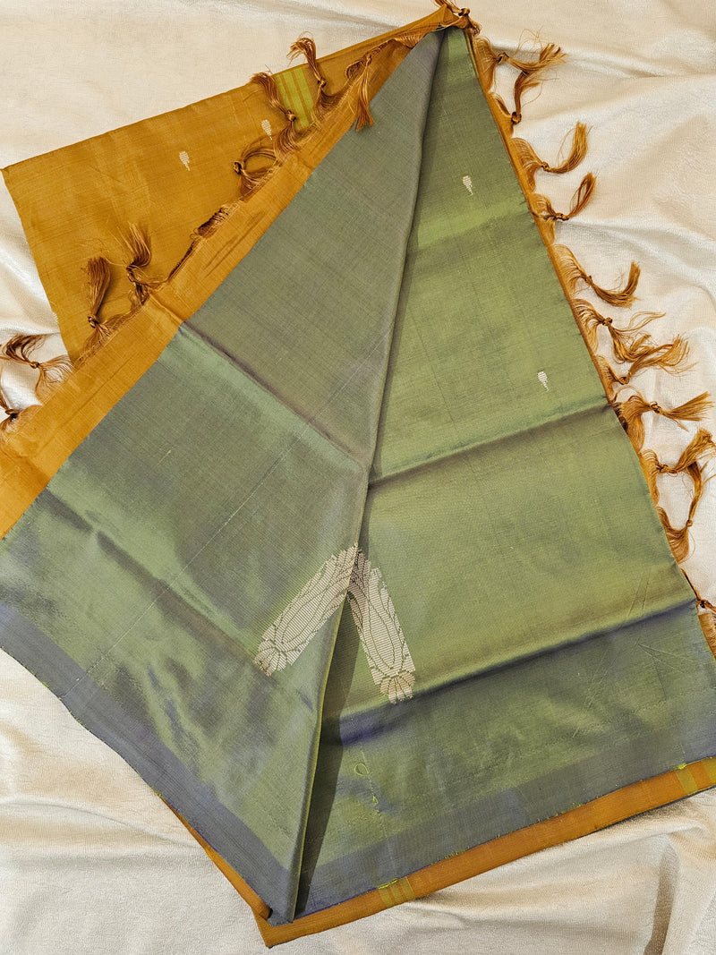 Chinnalampattu Saree- Dual Shade of Grey and Green with Brown