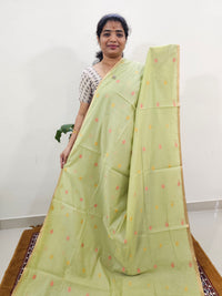 Kota Doria with Jamdani Saree -  Green
