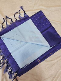 Chinnalampattu Saree - Blue with Dark Blue
