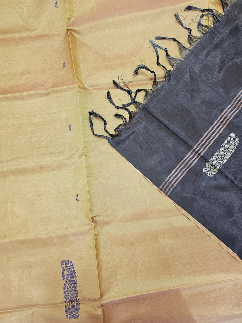 Chinnalampattu Saree - Dual Shade of Beige with Brown