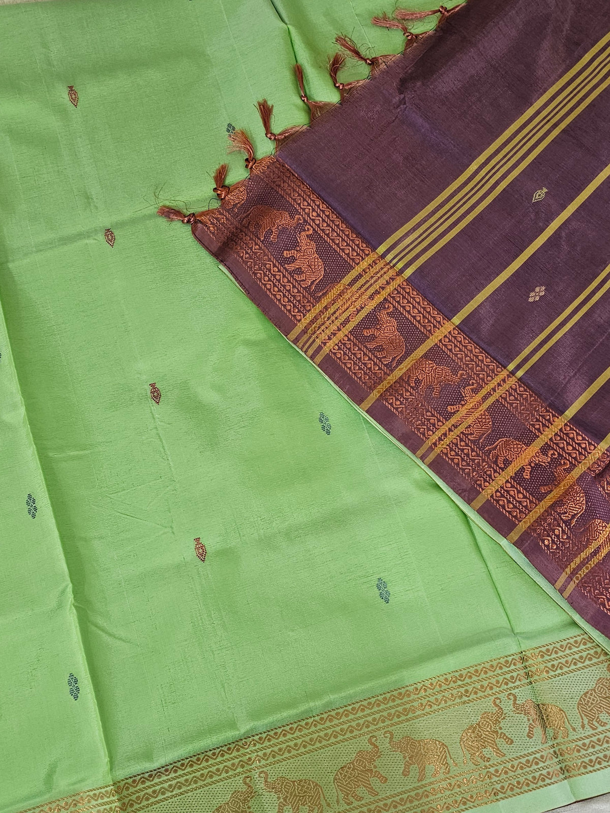 Chinnalampattu Border - Pastel Green with Dual Shade Purple