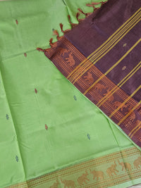 Chinnalampattu Border - Pastel Green with Dual Shade Purple