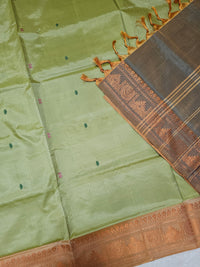 Chinnalampattu Border - Pastel Green with Dual Shade Orange cum Grey
