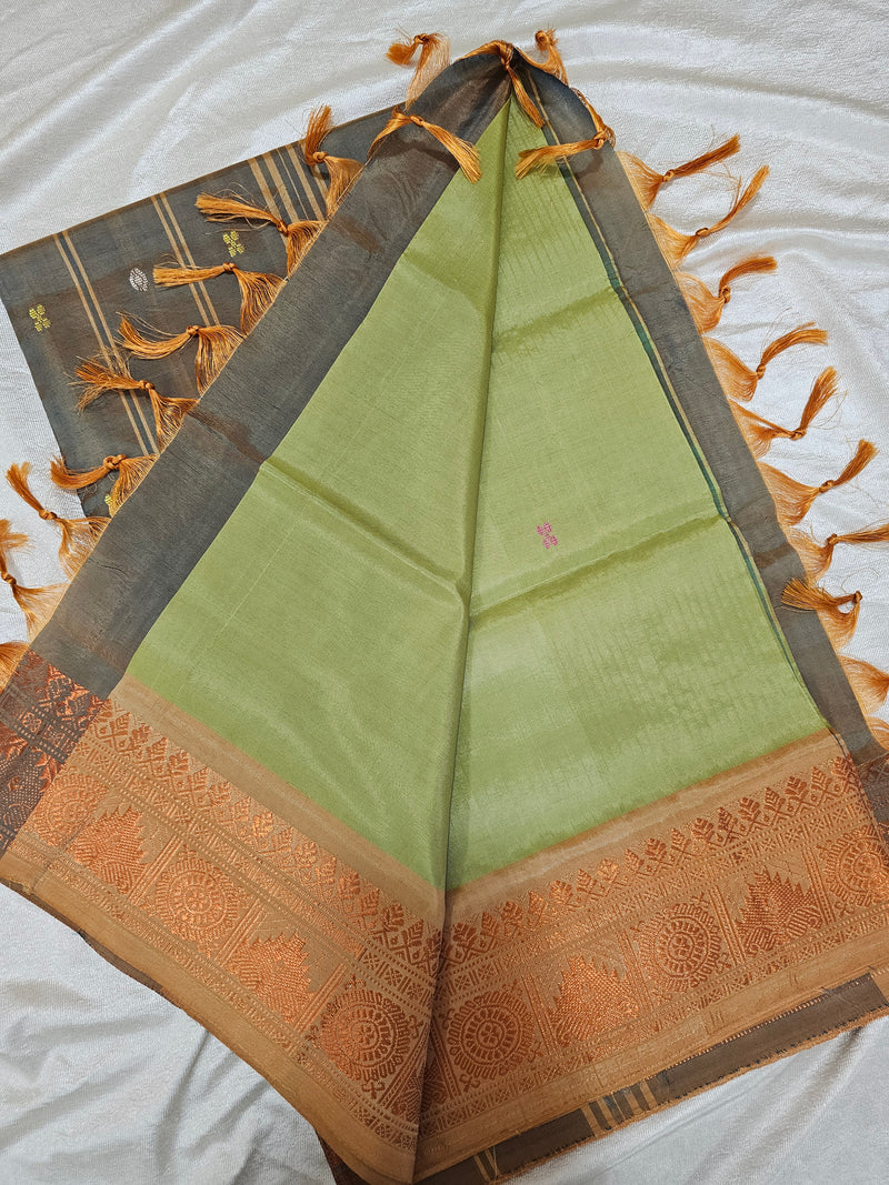 Chinnalampattu Border - Pastel Green with Dual Shade Orange cum Grey
