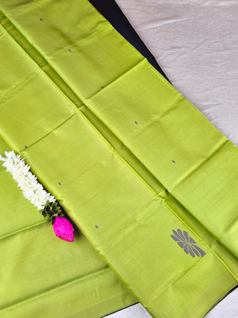 Green with Black Chinnalampattu Saree with Blouse