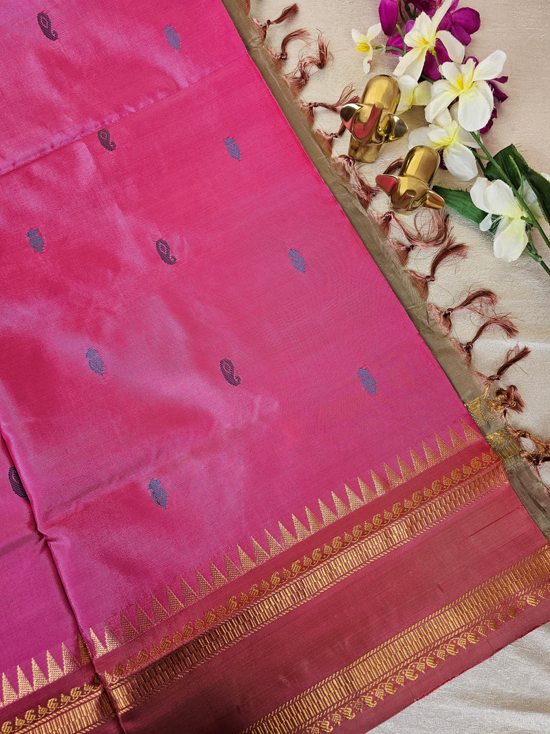 Pink with Dual Shade Beige Chinnalampattu Saree with Blouse