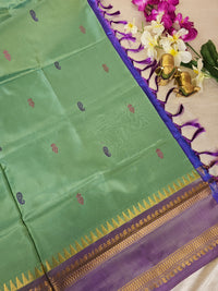 Green with Blue Chinnalampattu Saree with Blouse