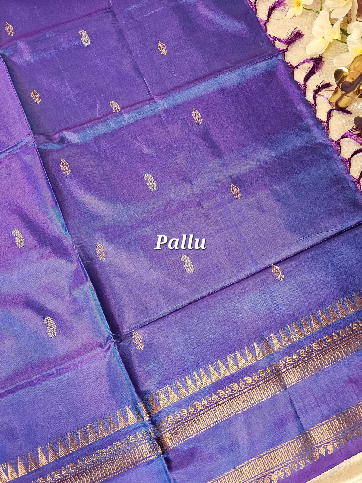 Green with Blue Chinnalampattu Saree with Blouse