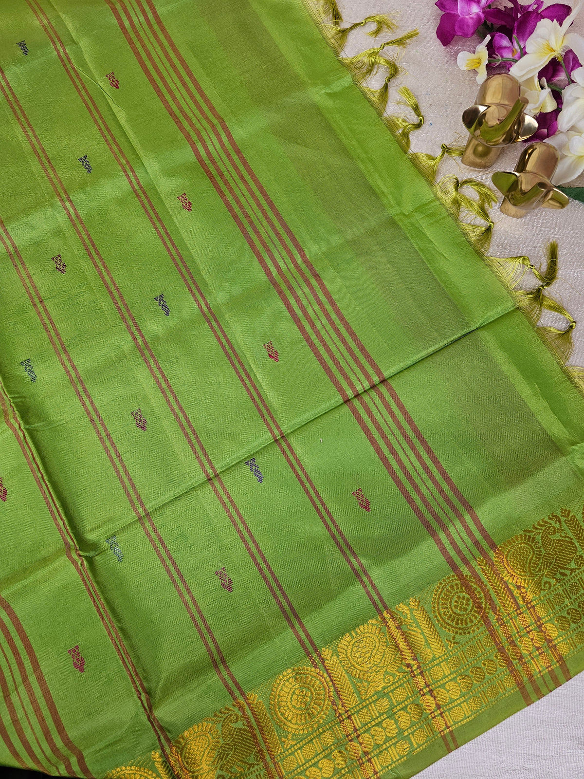 Pink with Green Chinnalampattu Saree with Blouse