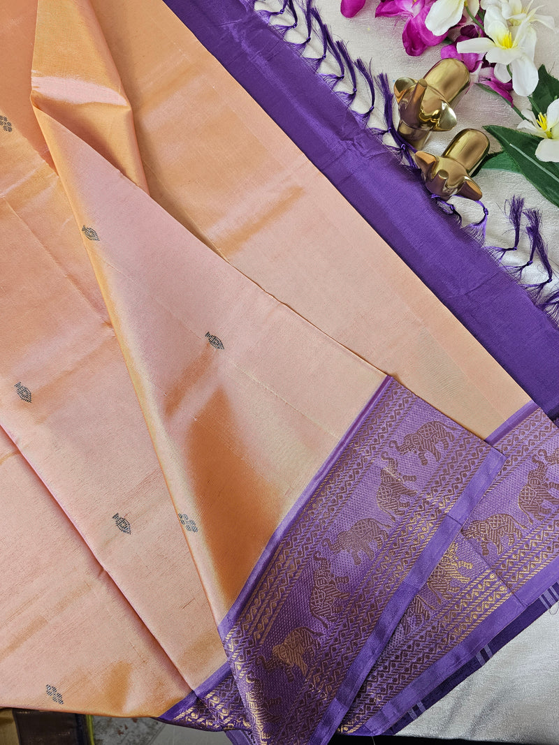 Sandel with Purple Chinnalampattu Saree with Blouse