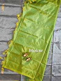 Grey with Green Chinnalampattu Saree with Blouse