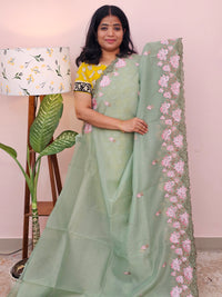 Organza Tissue Saree - Green
