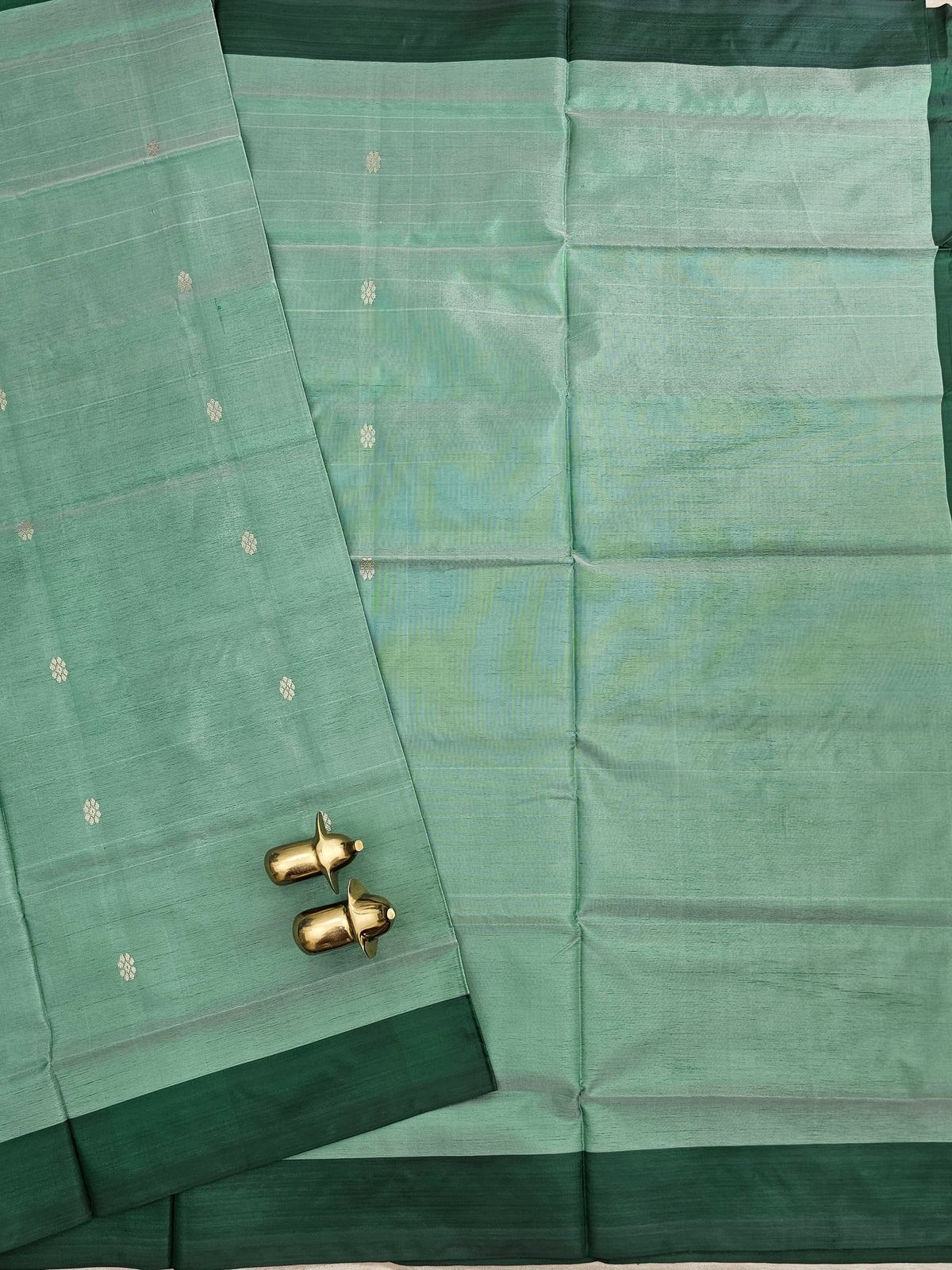 Chinnalampattu Saree - Light Green with Dark Green
