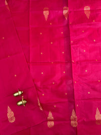 Chinnalampattu Saree - Monochrome Pink