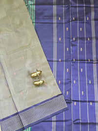 Chinnalampattu Saree - Dual Shade Greyish Green with Violet