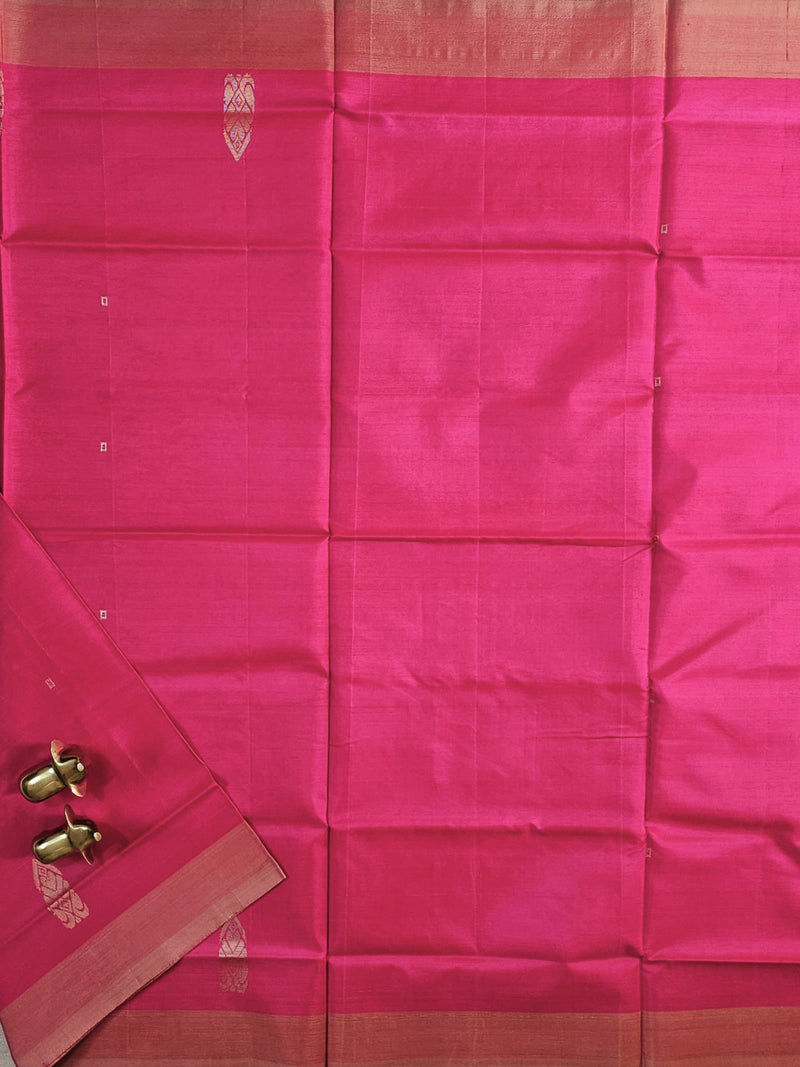 Chinnalampattu Saree -  Pink with Beige
