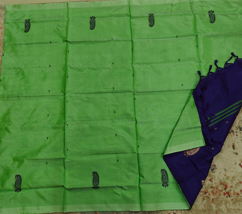 Chinnalampattu Saree- Pastel Green with Blue