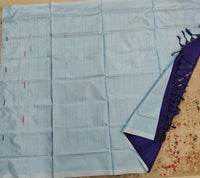 Chinnalampattu Saree- Pastel Blue with Blue