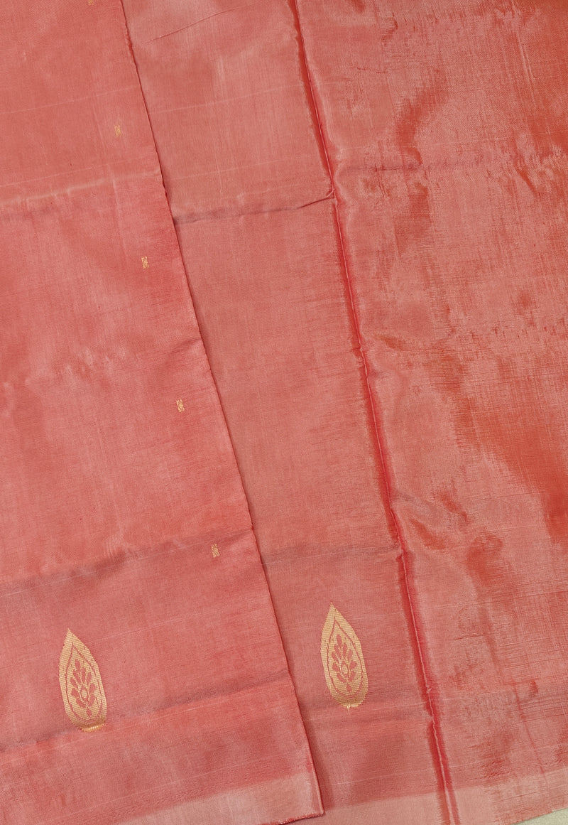 Chinnalampattu Saree - Peach with Blue