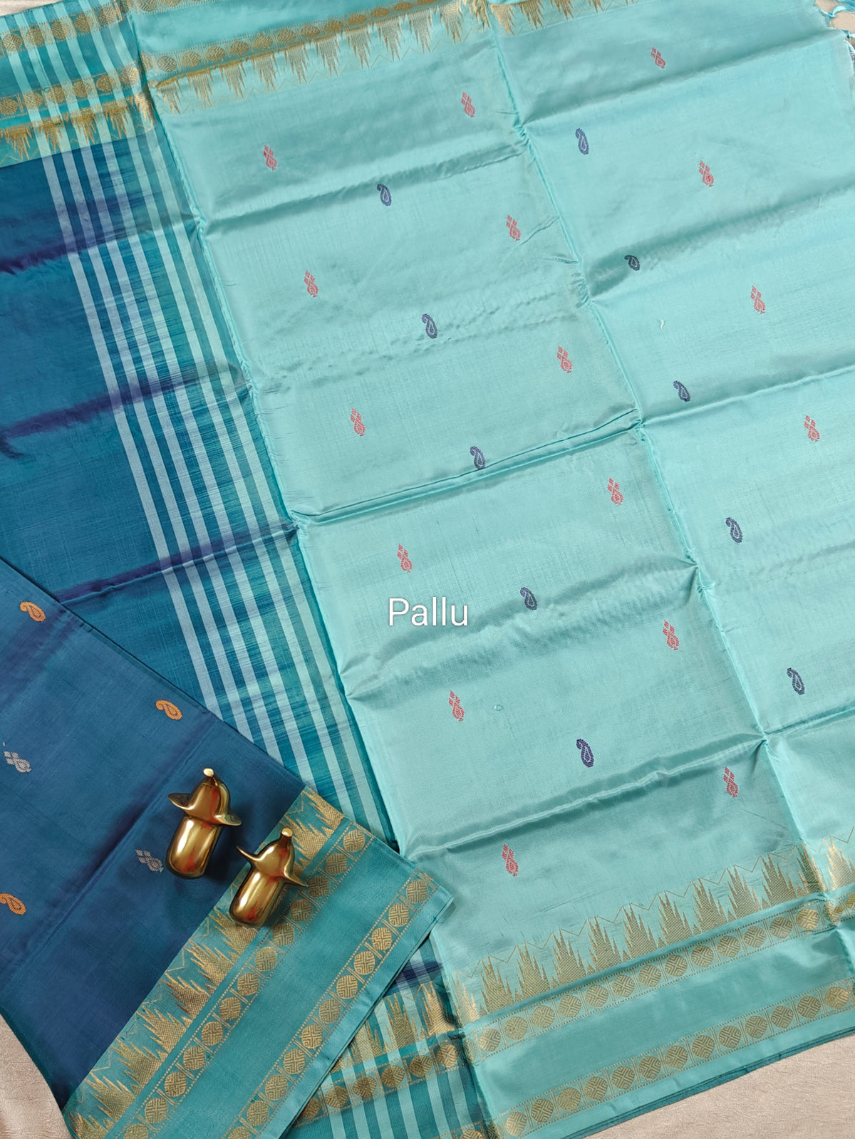 Chinnalampattu Border - Peacock Blue with Pastel Blue