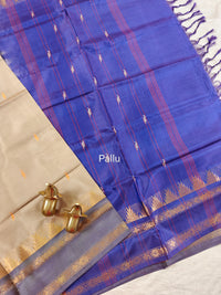 Chinnalampattu Border - Beige with Blue
