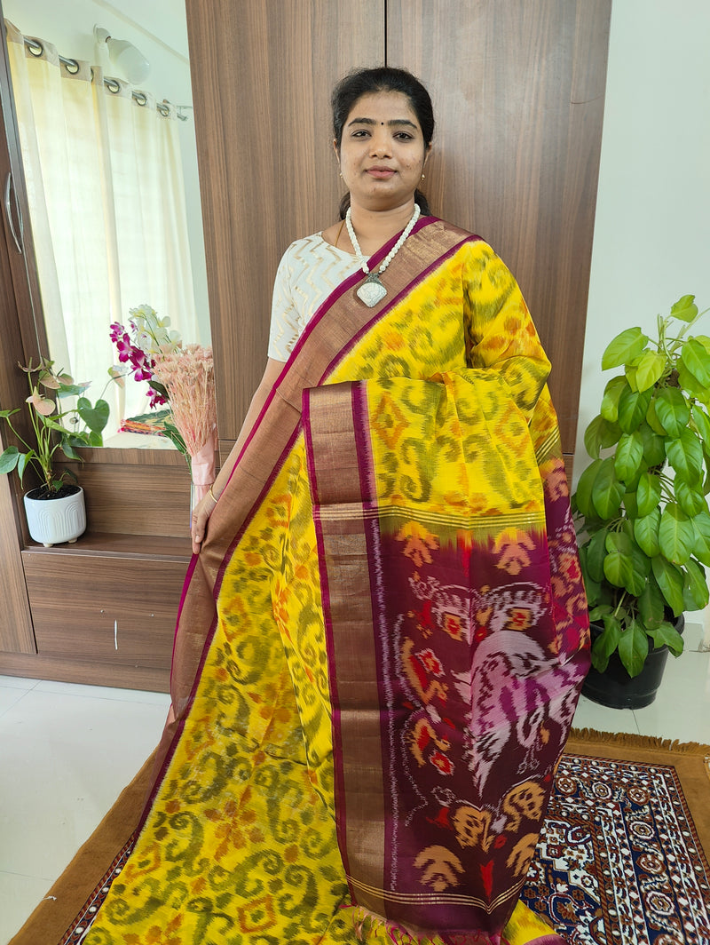 Yellow with Purple Pochampally Ikkat Silk Cotton (SICO Pattu)