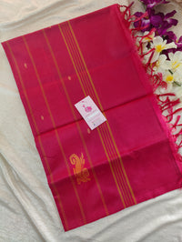 Sea Green with Pink Pallu Handwoven Chinnalampattu Saree