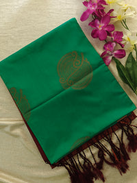 Sea Green with BrownCopper Zari Woven Border Semi Soft Silk Saree