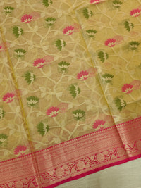 Kora Tissue Saree - Gold