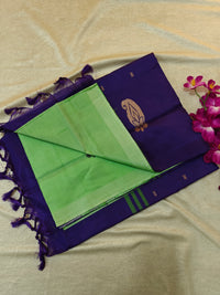 Chinnalampattu Saree- Pastel Green with Blue