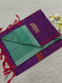 Chinnalampattu Saree- Pastel Green with Purple
