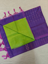 Chinnalampattu Saree - Green with Purple