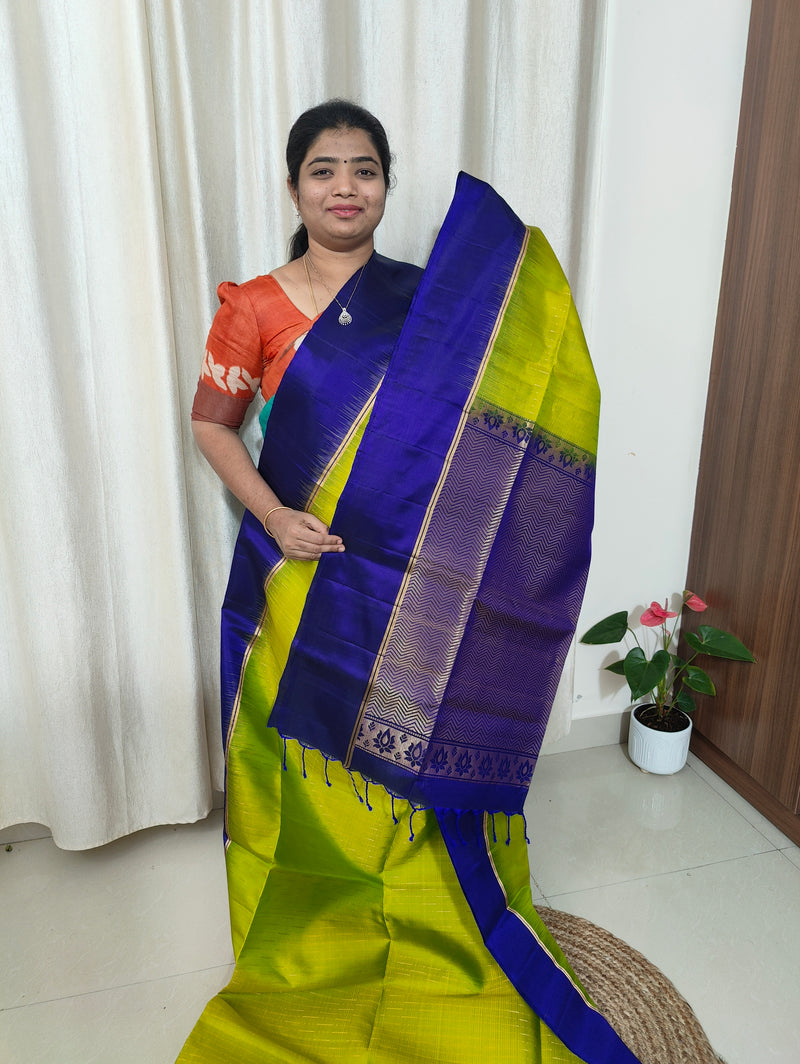 Handloom Pure Kanchi Silk Sarees - Green with Royal Blue